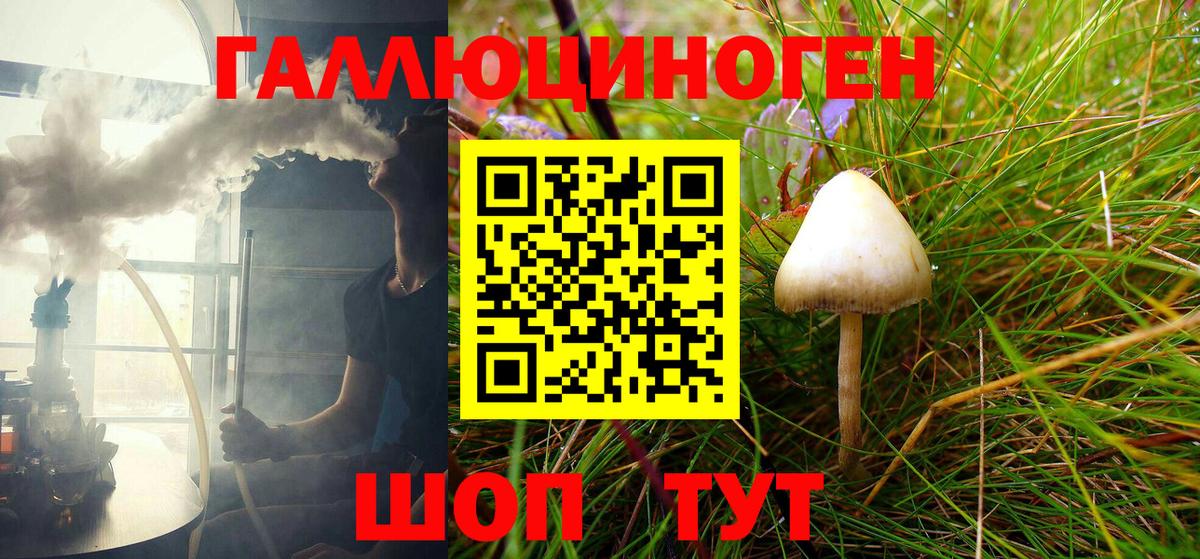 Горячий Ключ  Псилоцибиновые грибы Psilocybine cubensis  Вход с VPN 